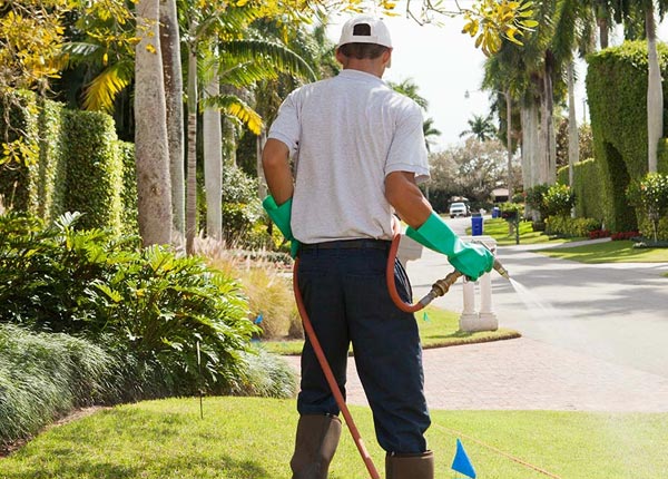 About Atlasburg PA Pest Control Pros